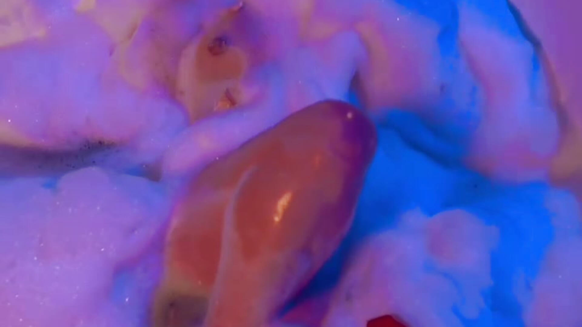 JACUZZY - video by lilimini032 cam model