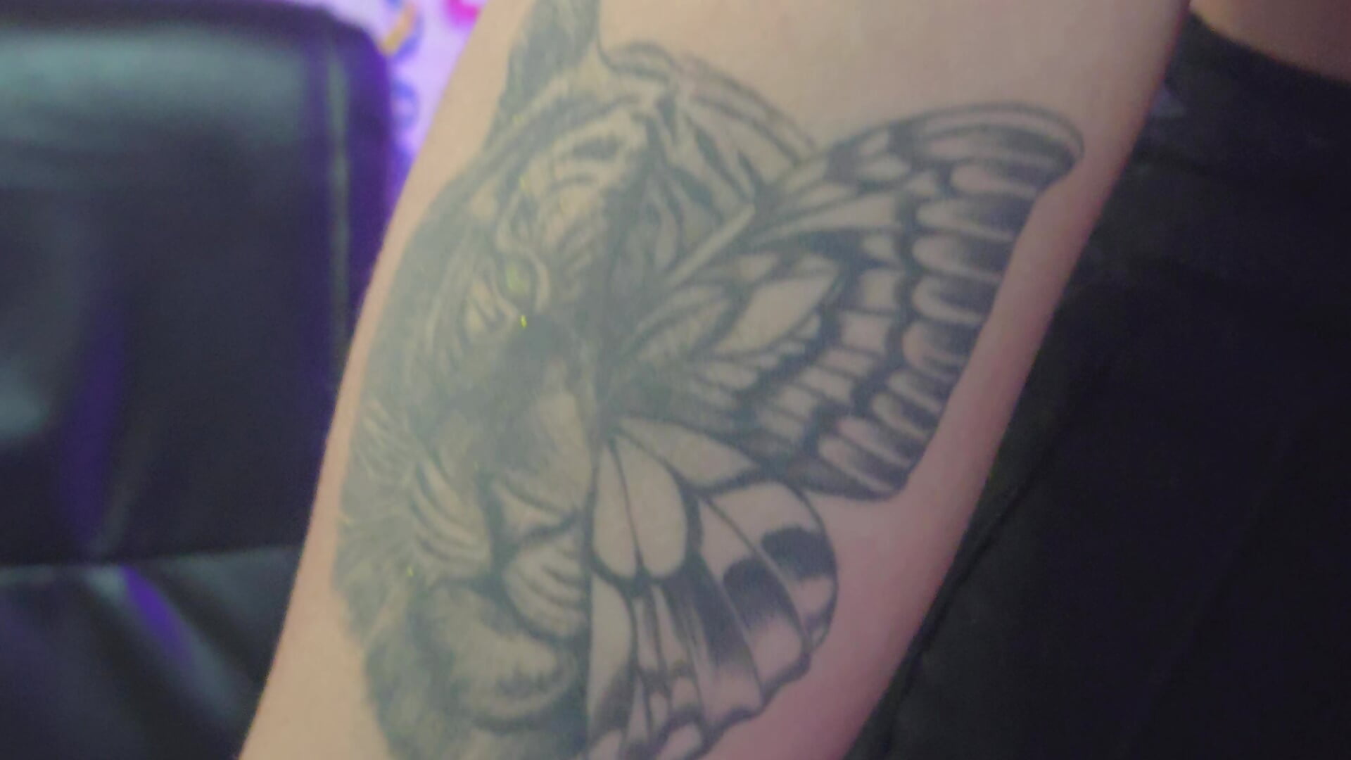 My Tattos - video by violletha