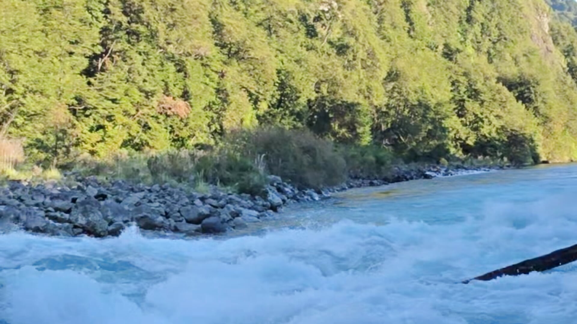 No rules, no limits… just me.😛 - video by aisha_bx cam model