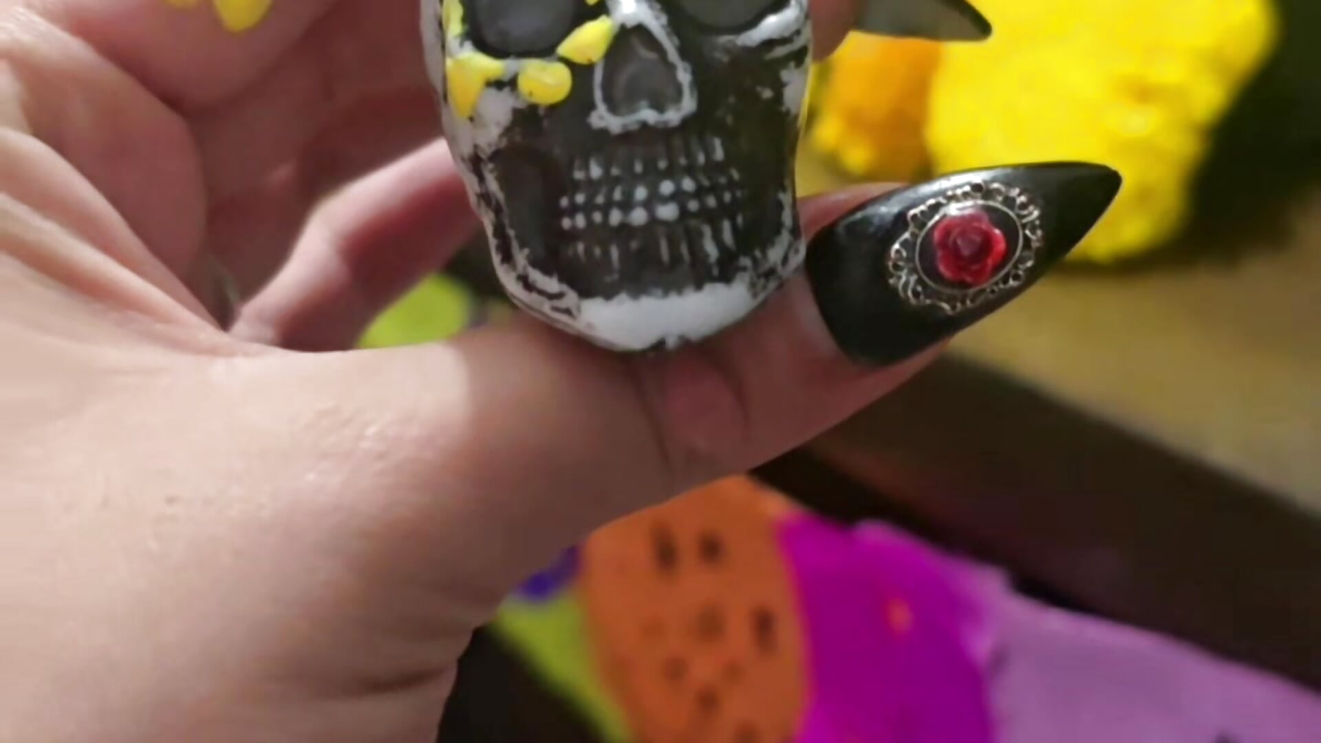 Remembering my pets 🐾🐶🐈 - aisha_bx 캠 모델의 동영상