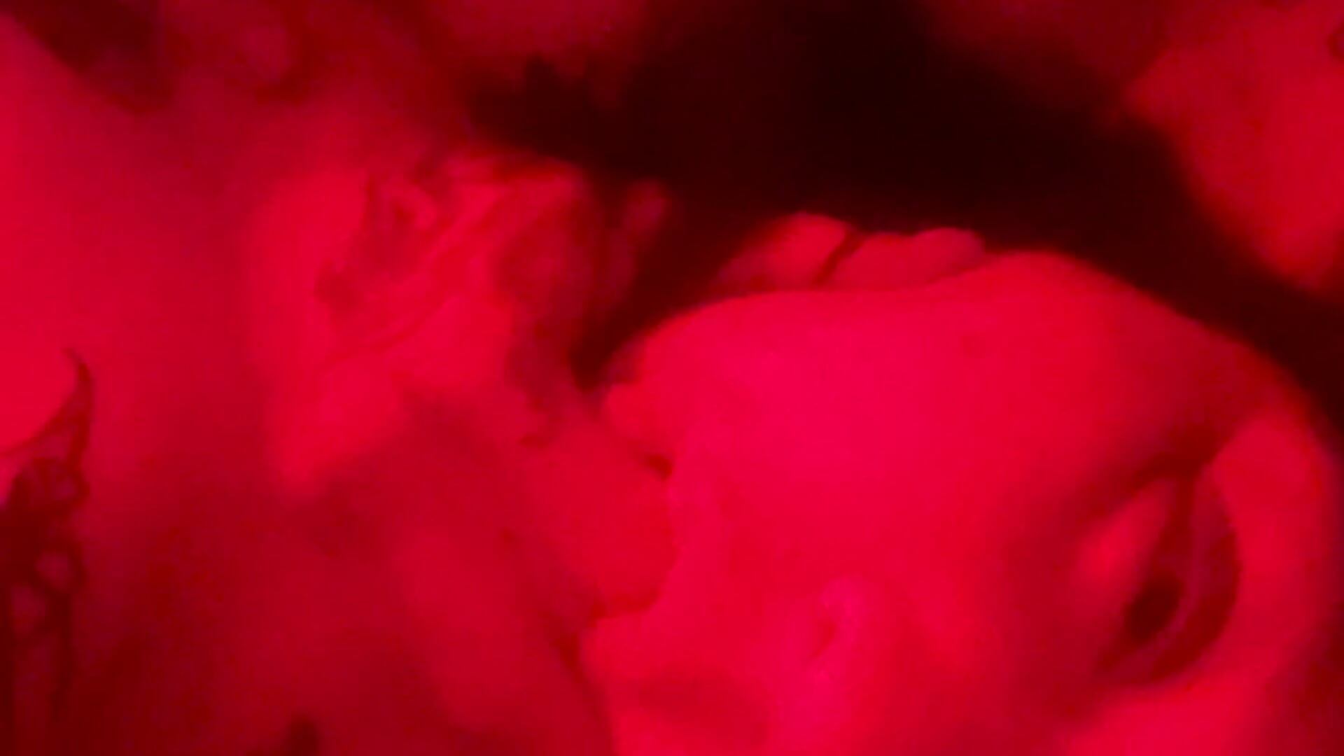 IMG_3356.mov - video by s6tan6whor6 cam model