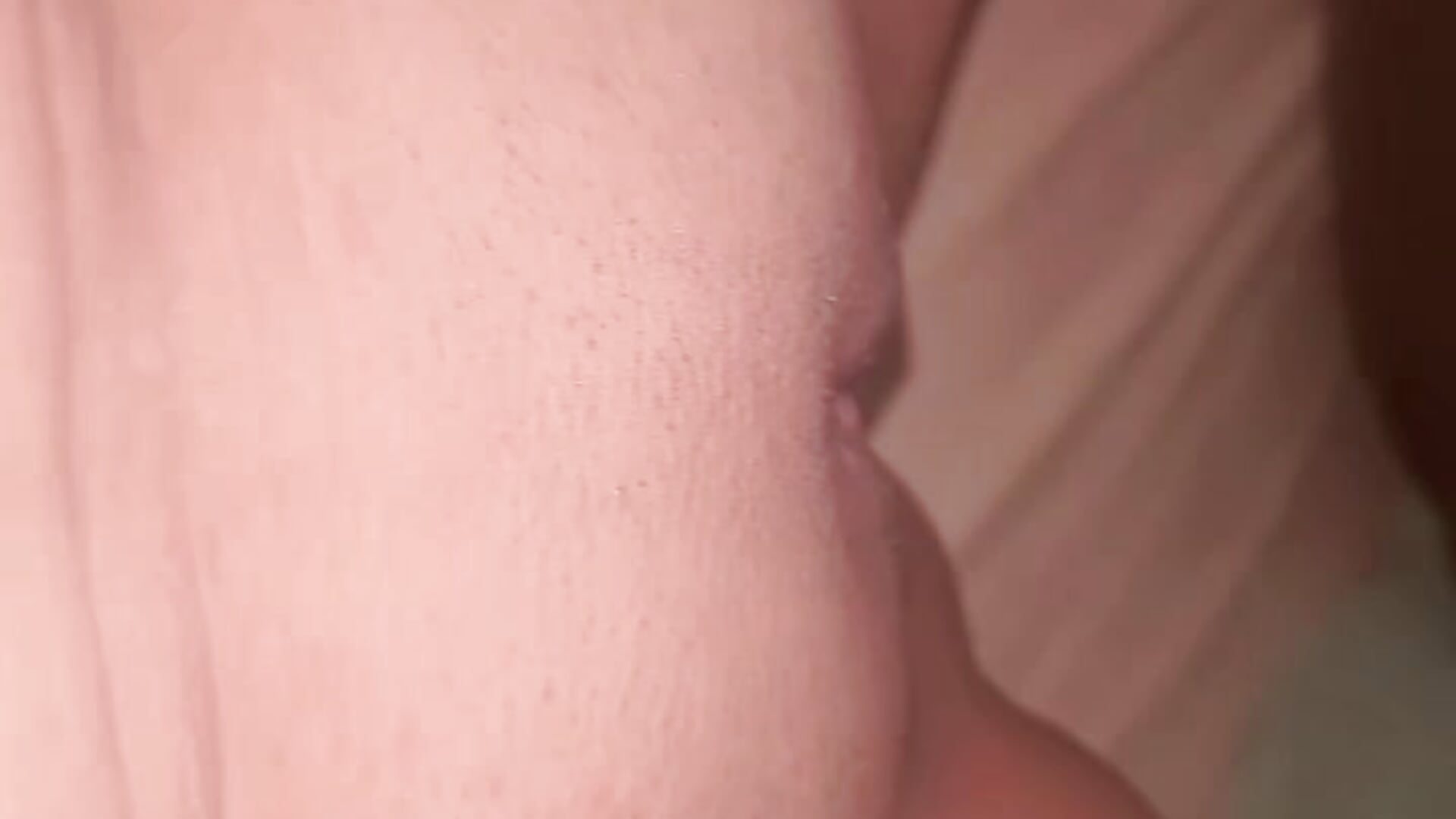 Toda meladinha