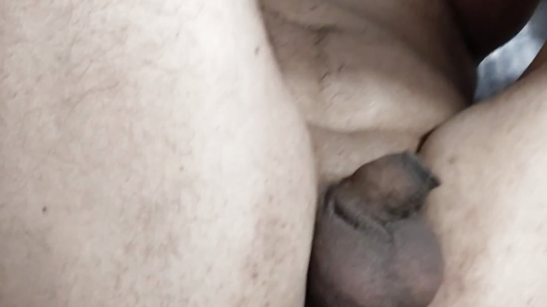2186culo1000081838 - video di EliteCoupleMM modella di cam