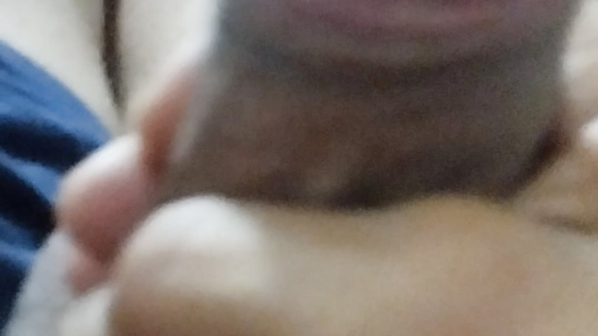 VID_20240809_084608 - video van guestar cam-model