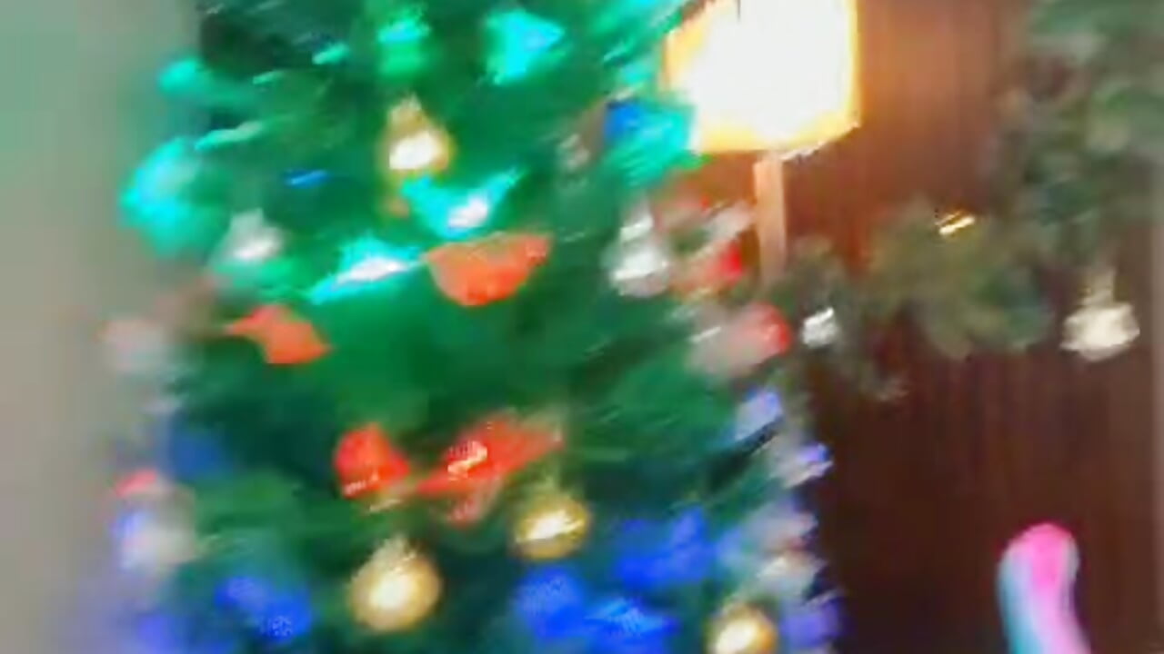 🎄 Tu hermosa navidad llego 🎄