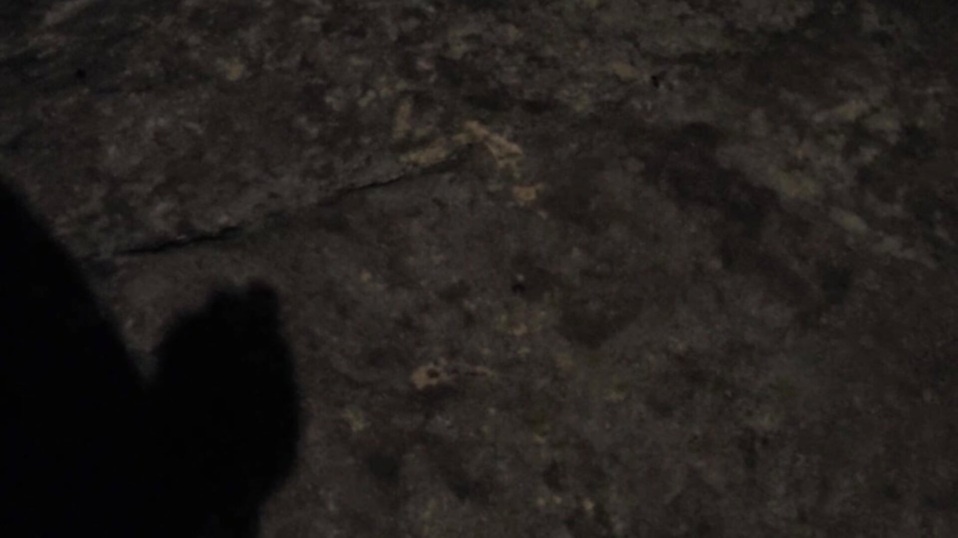 Thatdude32213: Vídeo de Modelo Webcam en Tendencia 4244