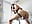 Hot like lava - video by Jessy_Cruz cam model