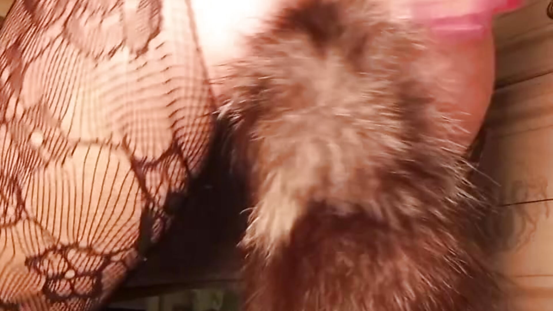 3 Fach Kombi 🔥 Anal Plug + Dildo + Vibrator = Orgasmus - video by Happygio cam model