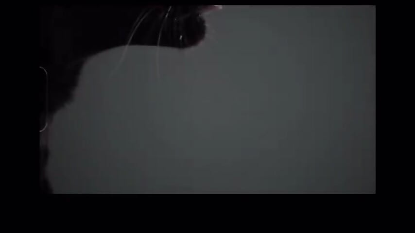 Black Panthress - SommersWorld Teaser - SommerIsabella主播的视频