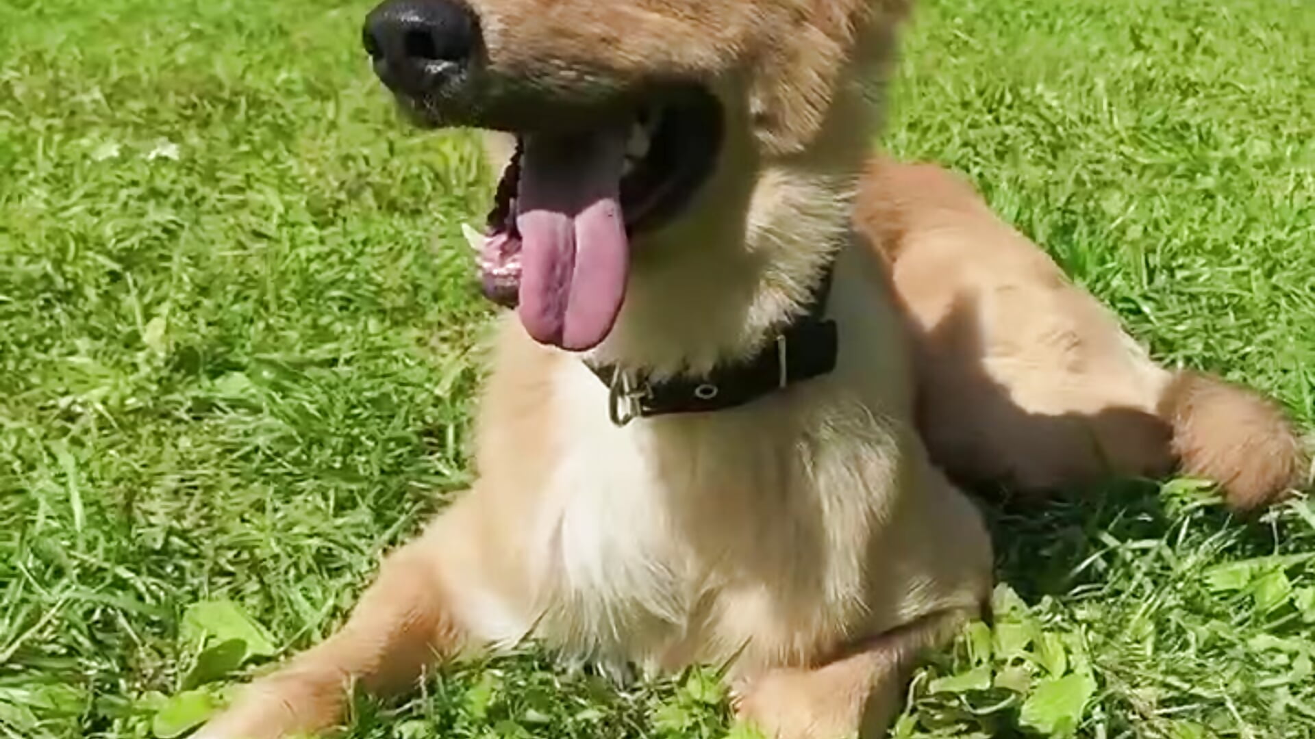 day off in nature - video by Kevin_Amy cam model