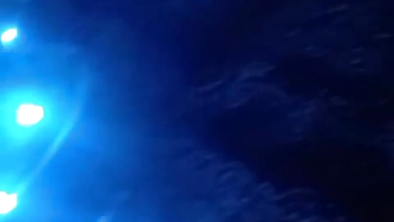 Perrito feliz de comerle el coño a su Ama - video by Tiramisu89 cam model