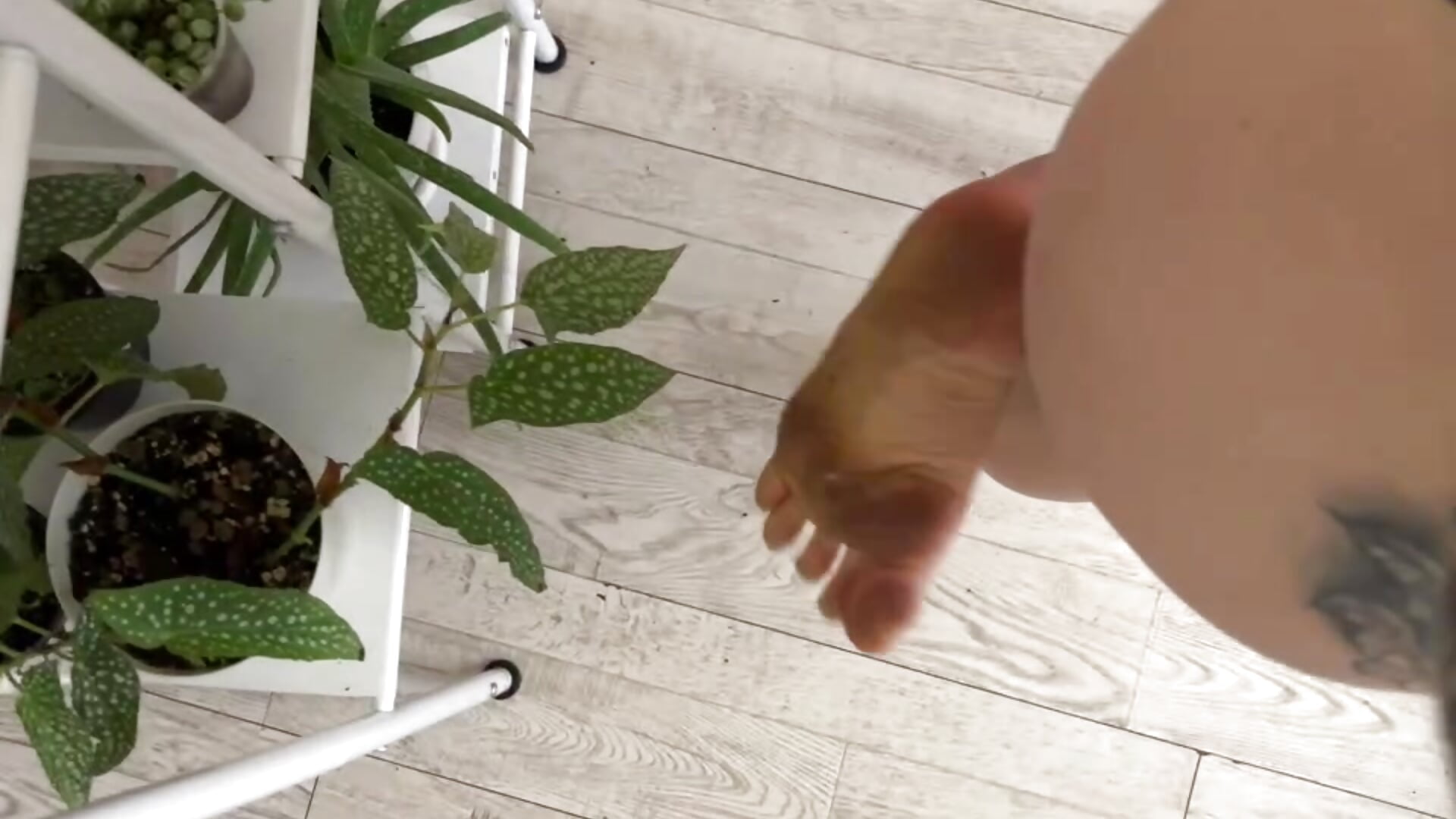dirty feet