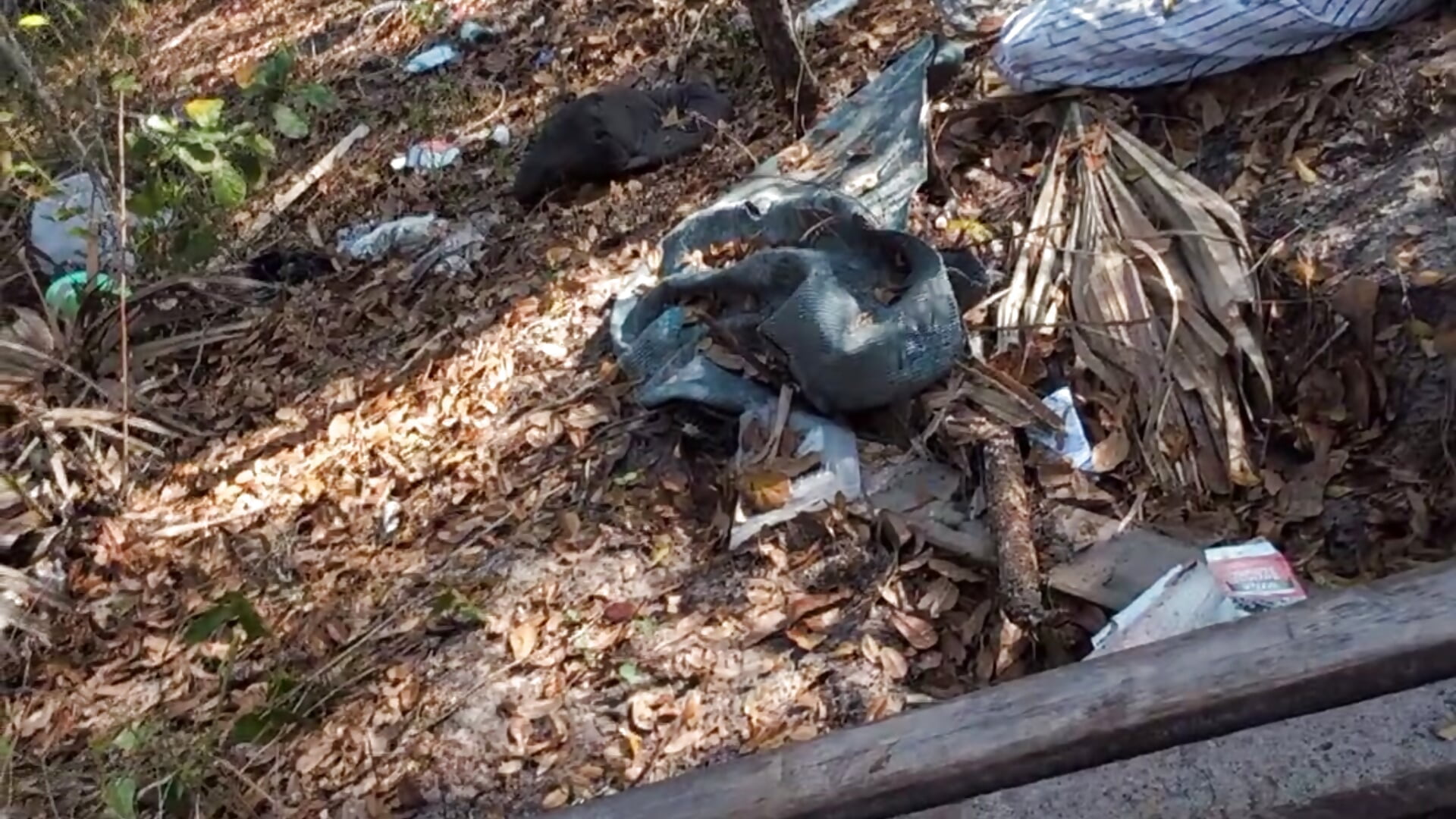 1000030781 - ক্যাম মডেল joseito702-এর ভিডিও