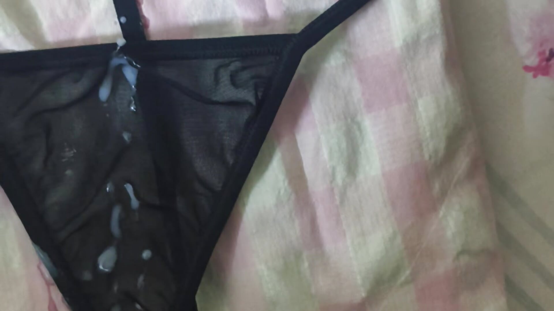 Cum On My Wife's Panty 🤤