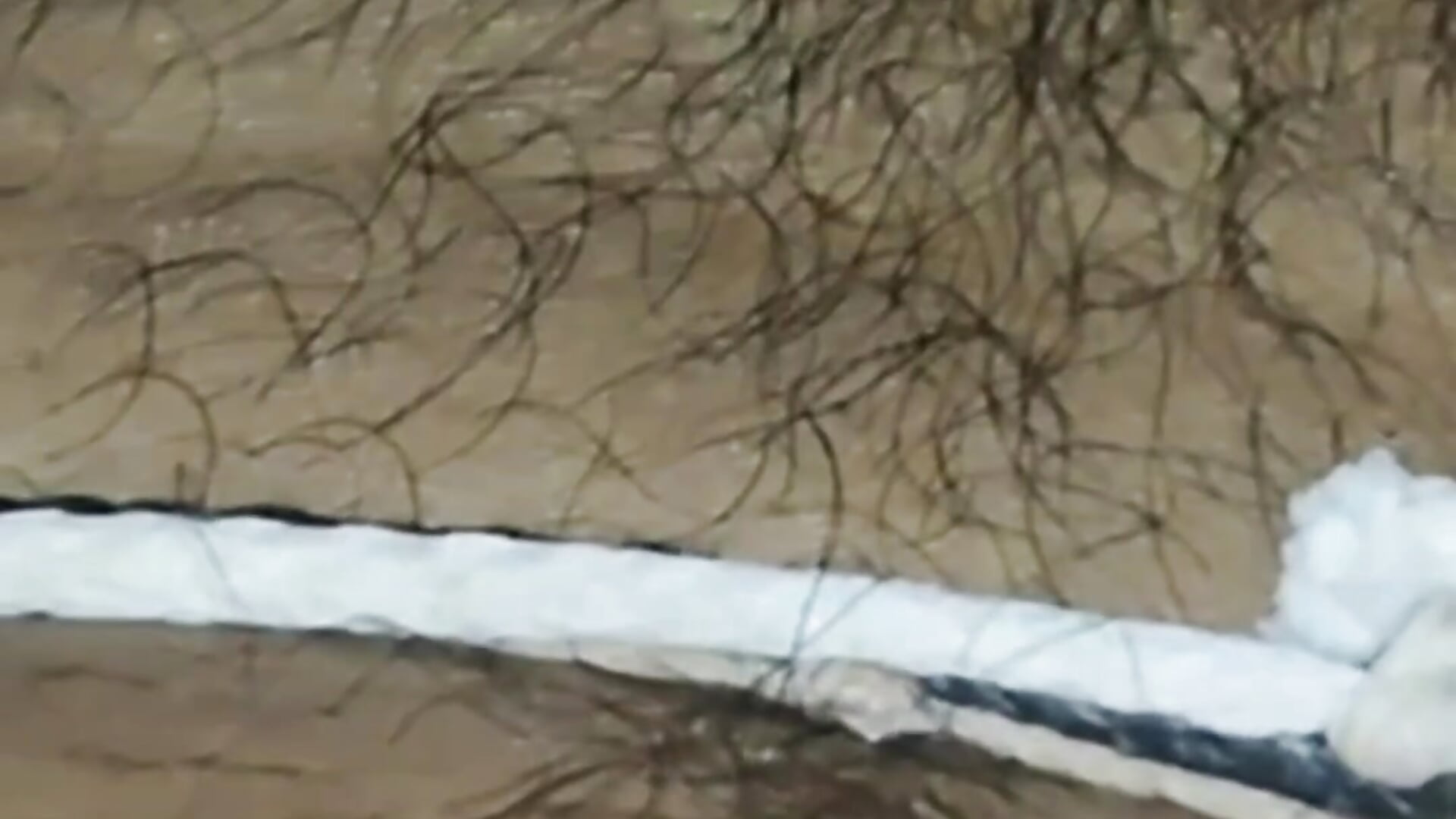 1000079417 - відео від вебкаммоделі desi_boy189