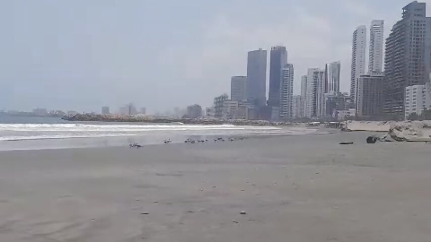 🏖️ - video by slut_anal_ cam model