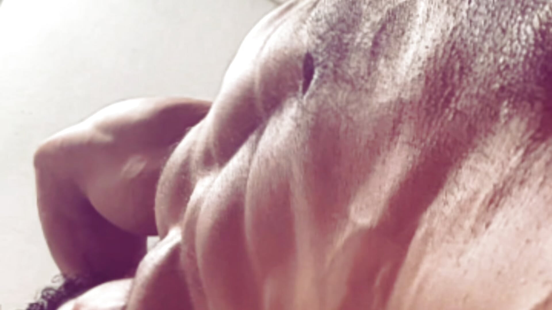 bradley_smith: Vídeo de Modelo Webcam en Tendencia 3533