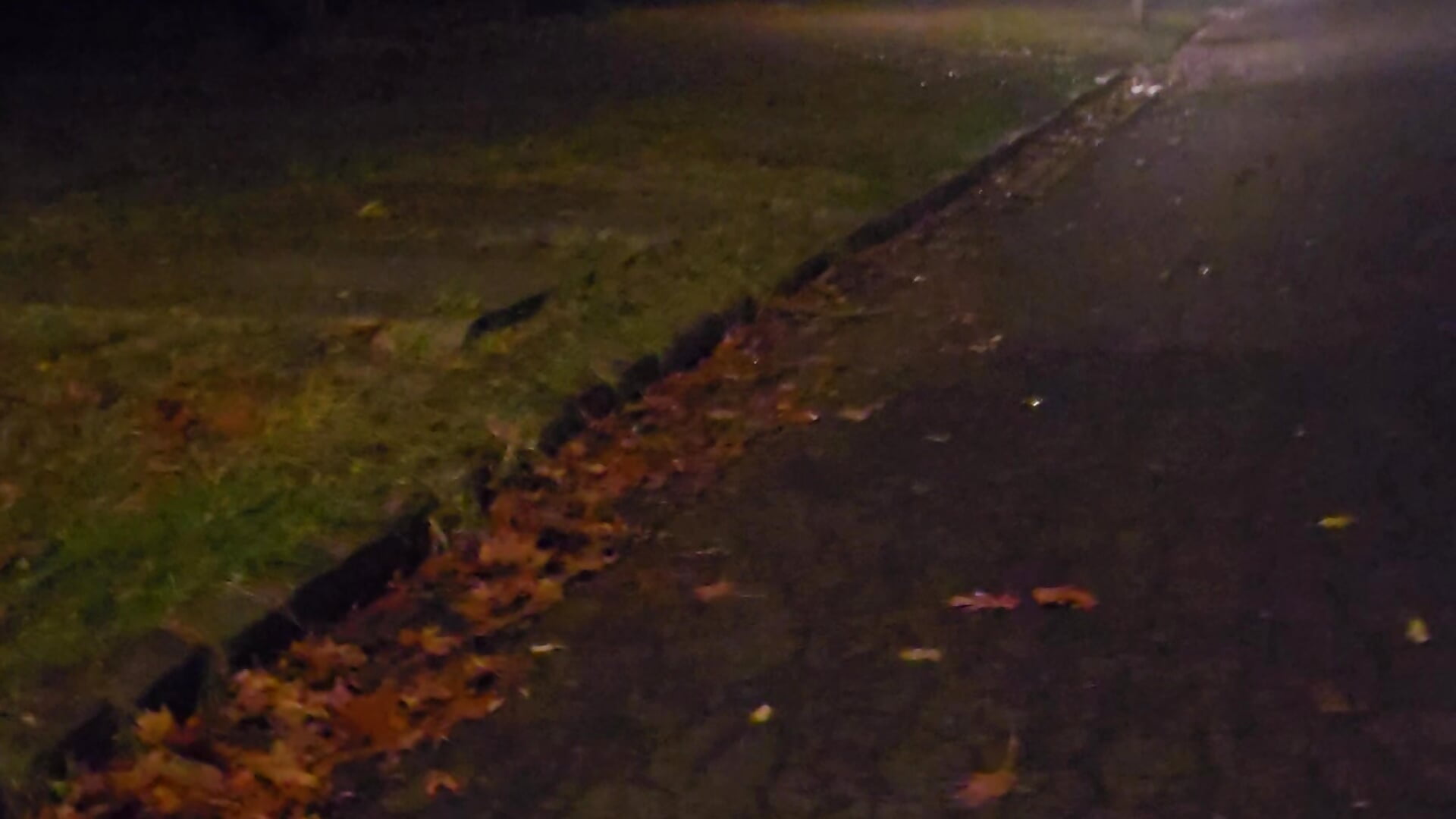 1000062310 - video oleh Prinzessi kamera model