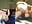 NEW cum show 2022-03-30 08-28-04 - Lasofia 的视频