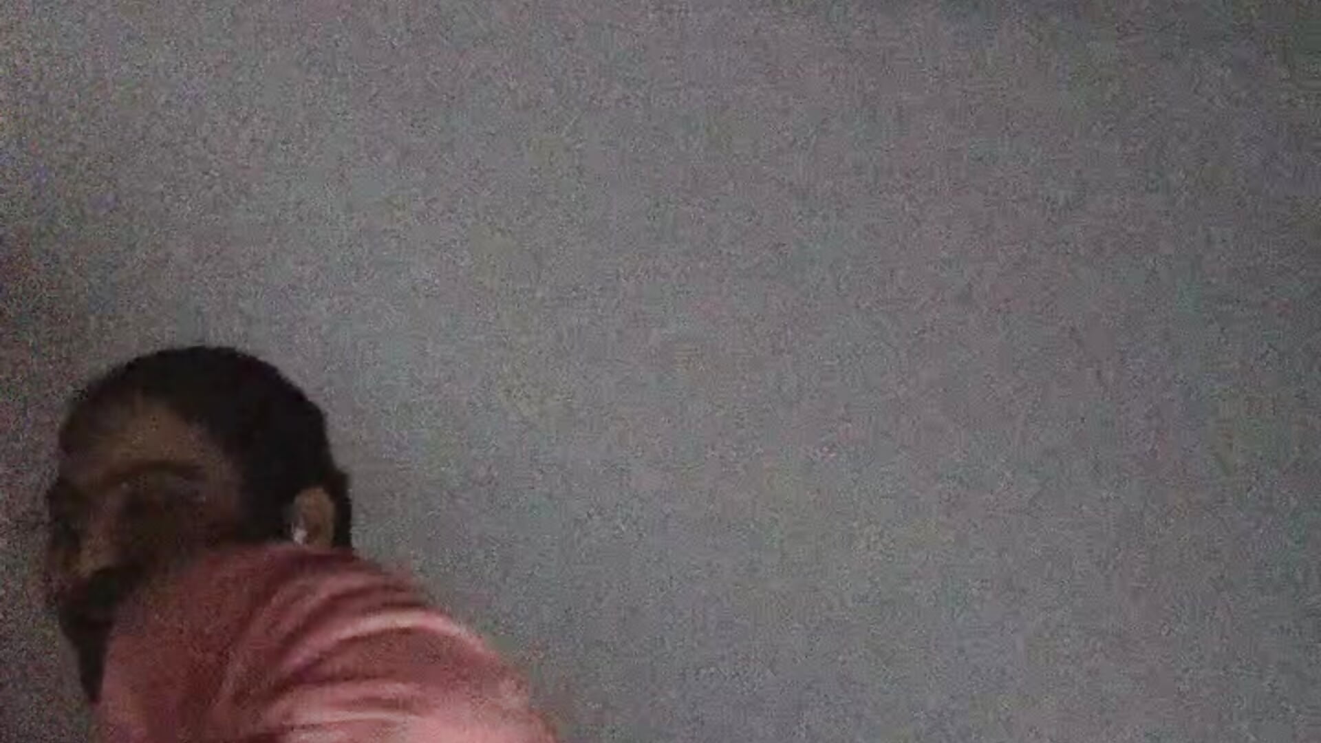 🍑👅💦🫣 - AnneteLynch主播的视频