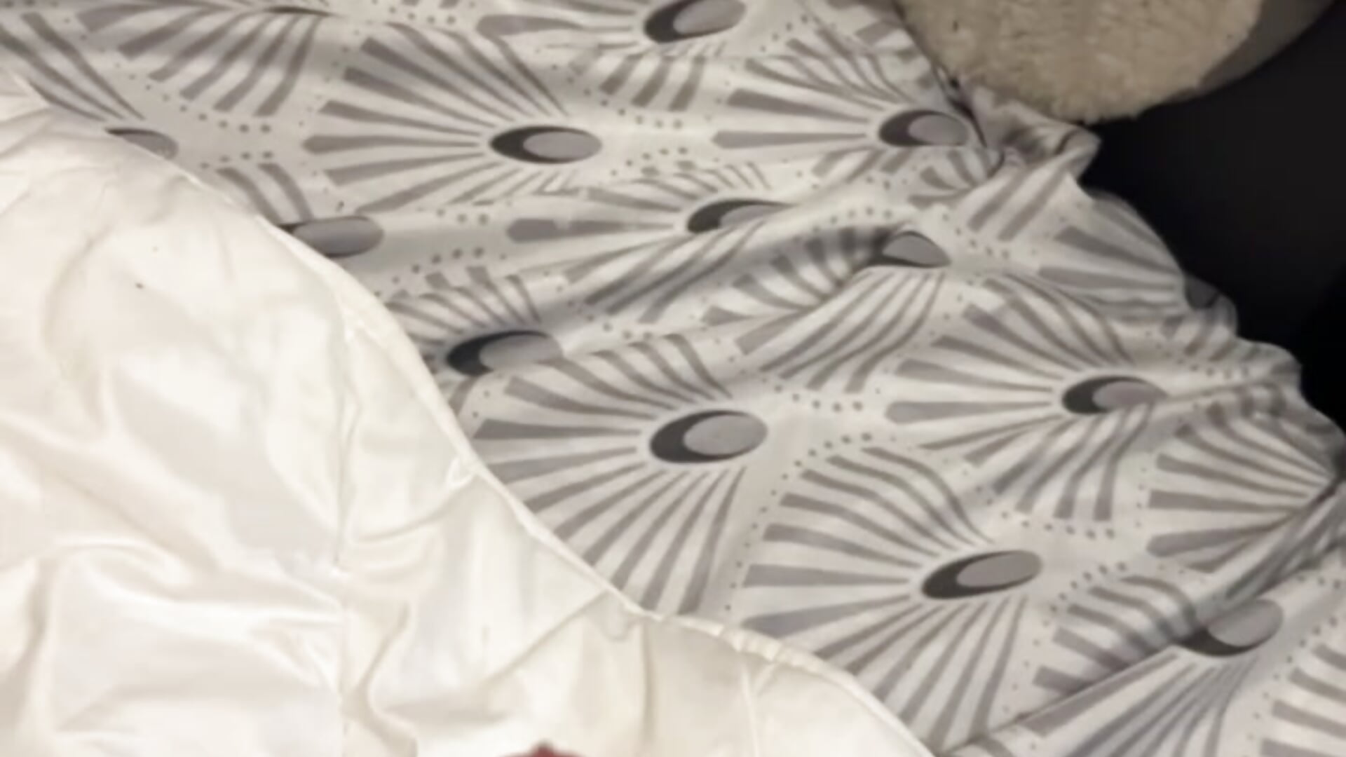 filtered-B413371F-CB8D-41AC-A264-C2B3EEFB2E05 - video by Elfamosso7 cam model