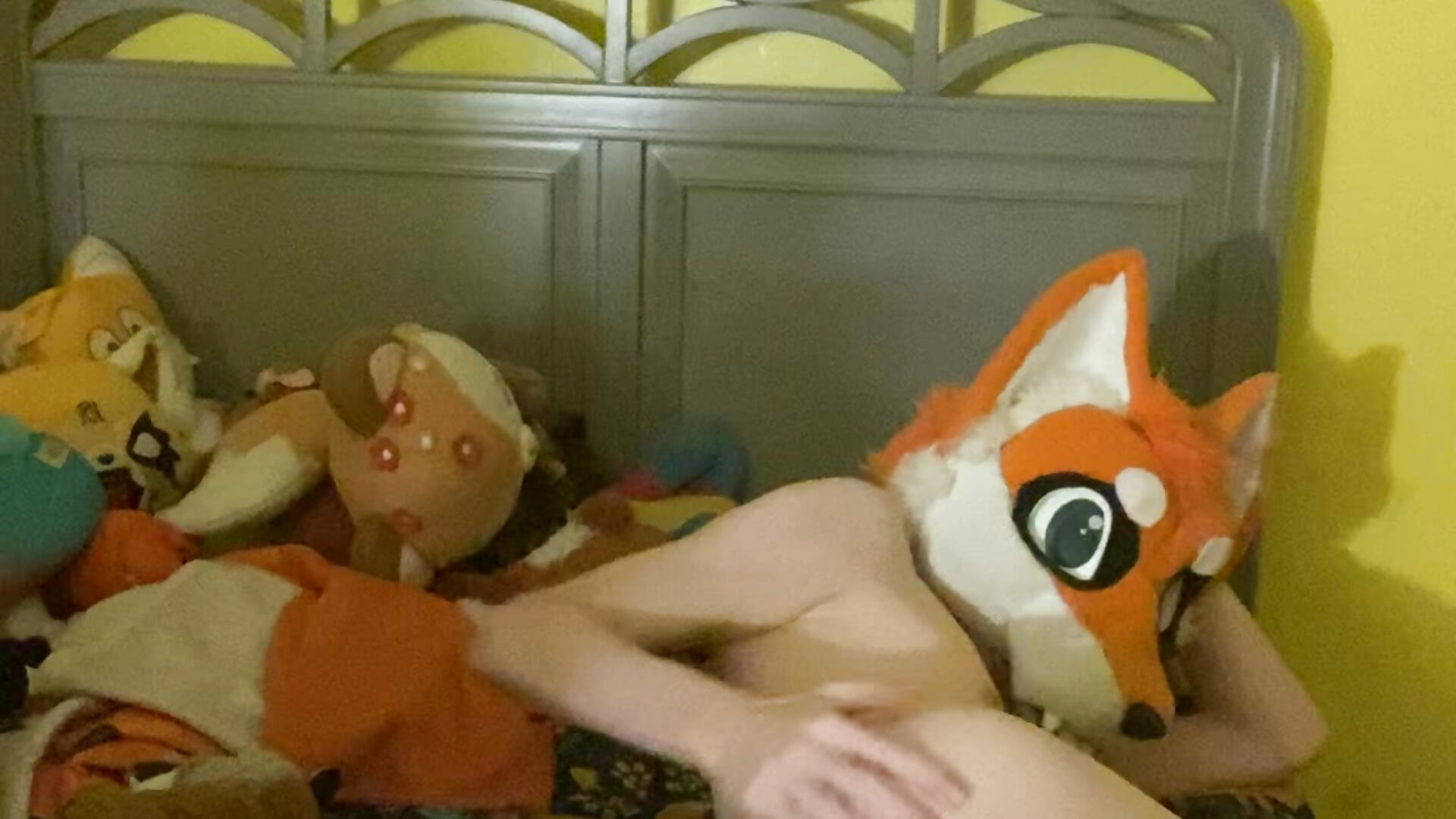 Foxxo Shows His Hole~