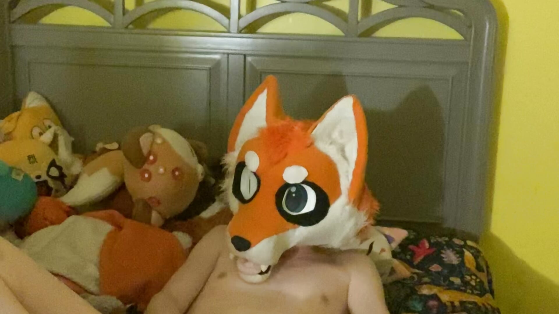 Cute Fox Strokes Himself~