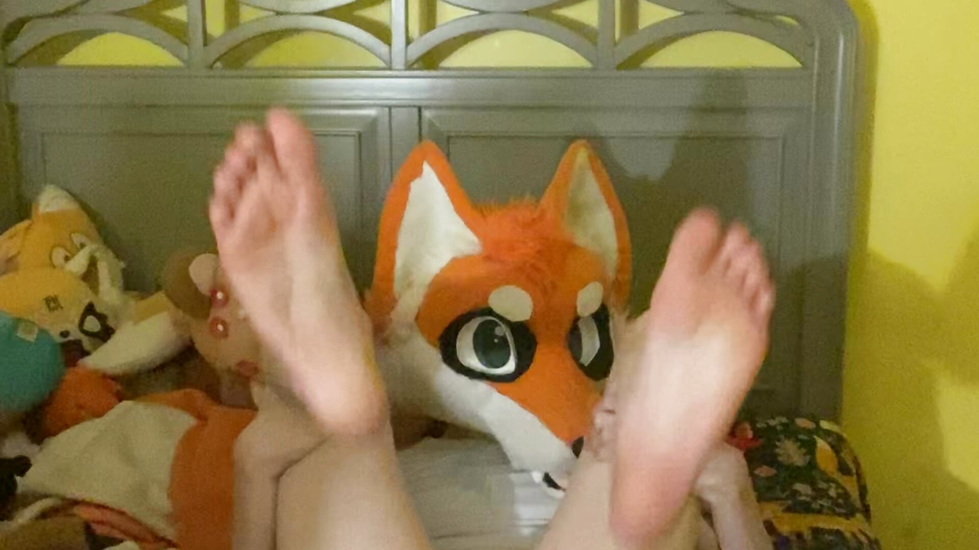 Foxxo Feet~ - video by FoxieHikari cam model