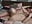 Steamy Foreplay (Lot's of Kissing 😘), Sensual Missionary, Sexy Spooning & Hot Scissoring 💕 - video by Sensual-Synergy cam model