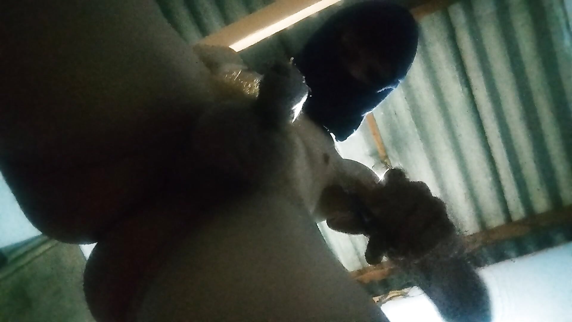 1000028242 – video af gbmonsterboy cam-model