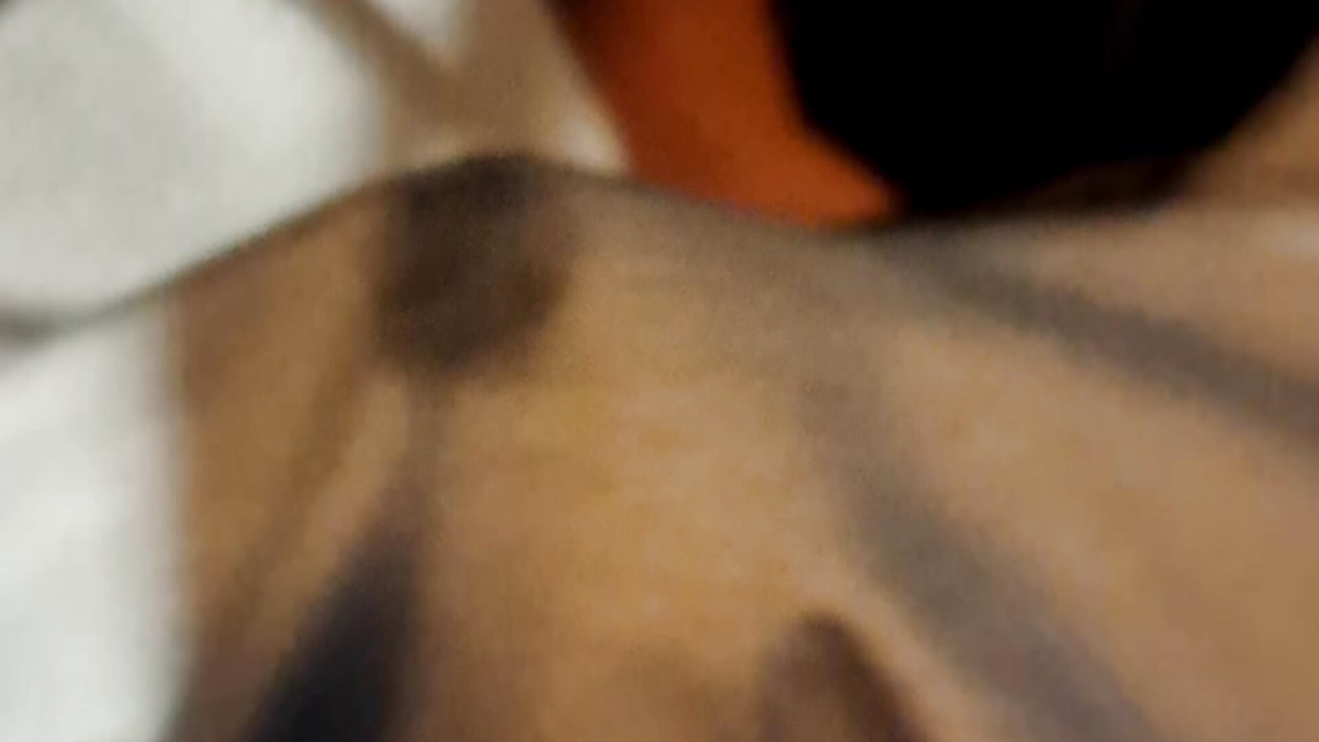 LINE_MOVIE_1700403487732 — filmik yooni06, modela(-lki) na kamerkach