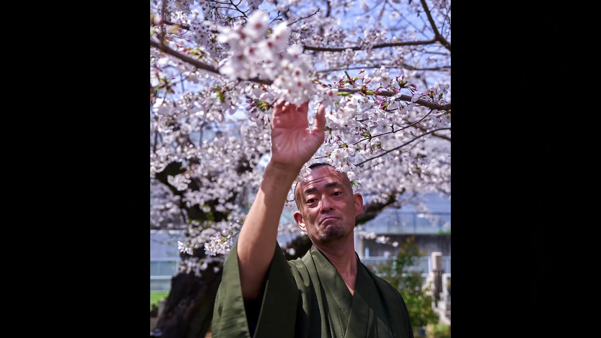 sakura - فيديو من heita_omori موديل الكام