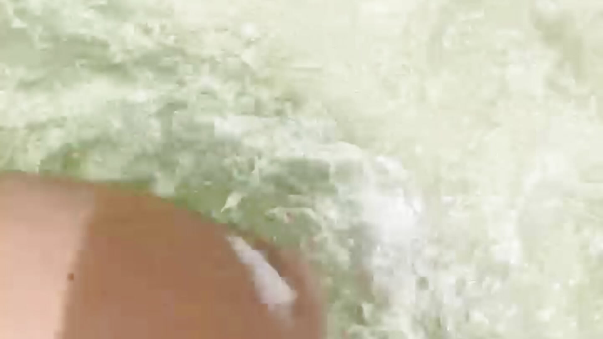 🪸 - video by viktorya_xue cam model