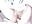 电舌头入洞喷水   Electric tongue insertion - video by ssyyds8866 cam model