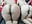 whips with cane in the ass and Squirt - vídeo de la modelo de cam BDSM_EXOTICDOMINATION