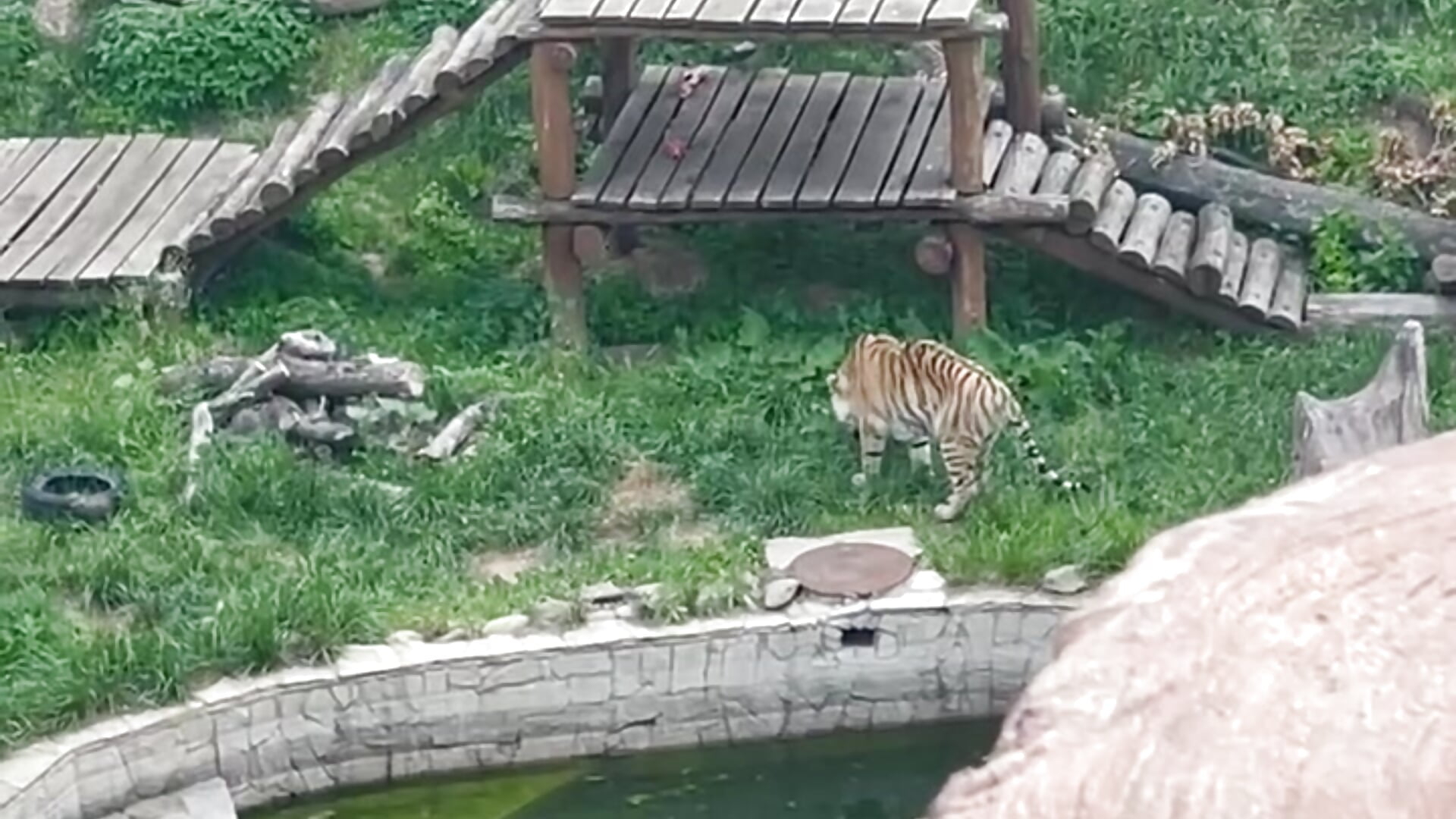 Kharkiv Zoo - video by beril_kiss- cam model