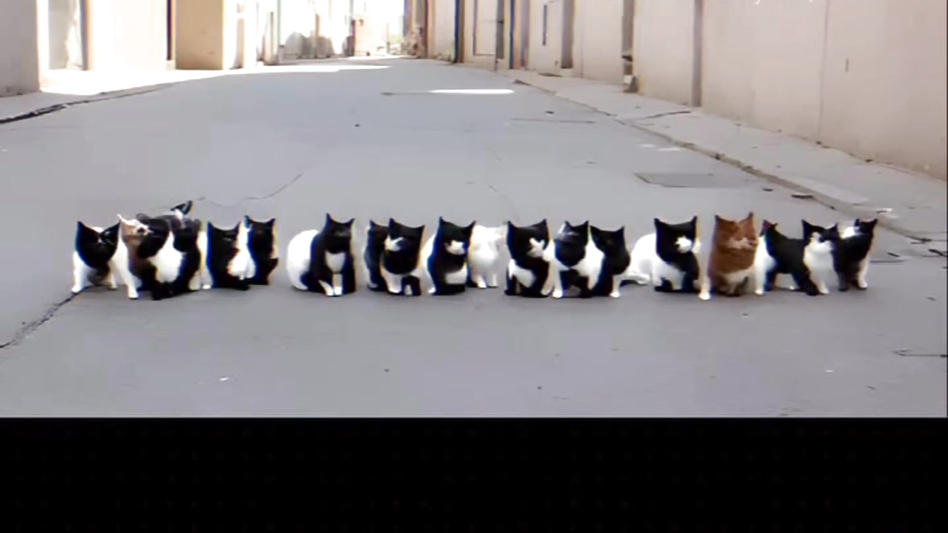 We both sexy - video by ThickPearlx23 cam model