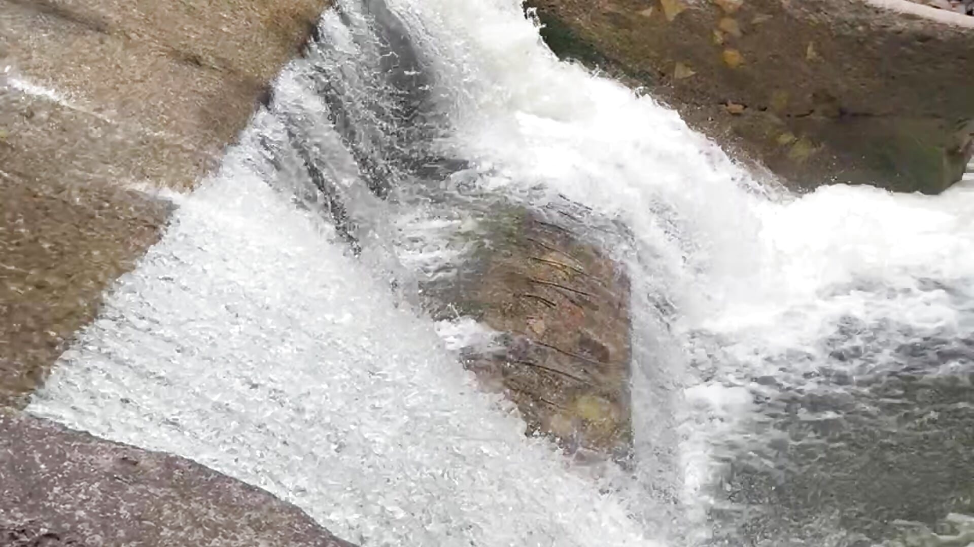 Beautiful nature 🍂 - video by charlotteone cam model