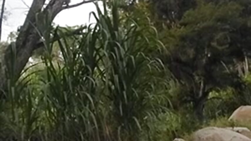 Cum at the river # 2 - video oleh model kamera Ts_veryhot