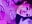 Lol i hate Valentín - video by LorenRosse cam model