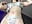 I undressed for you - video by NickiLike cam model