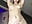 I took off my bra and you saw my natural firm breasts - video by NickiLike cam model