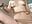I showed you my tits and pussy - video by NickiLike cam model