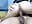 I'm the best cowgirl - Full Video - clip cu frank_and_claudette