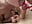 Blowjob und Eiersaugen - video by Juicycouple69 cam model