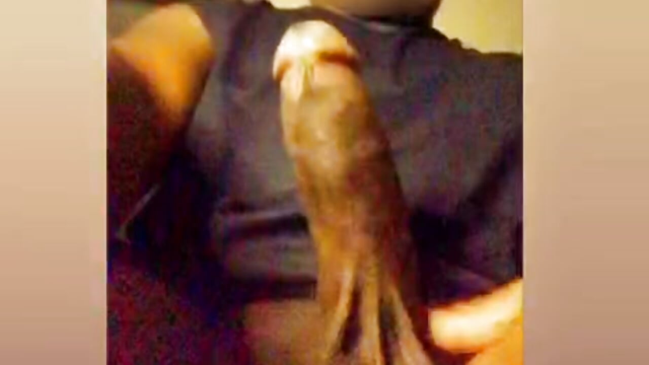 Hard cock feeling excited