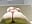 Normal speed ass jiggle BOUNCE BOUNCE BITCH - Vídeo de Yourgirlcindyy666