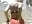 Me getting nakey by the pool dancing being silly - Vídeo de Yourgirlcindyy666