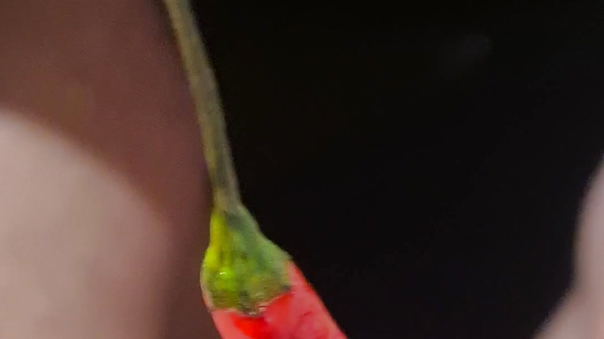 Peperoni – video modela na kameri M3855