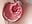 Prolapse anal - video by kittyy25 cam model